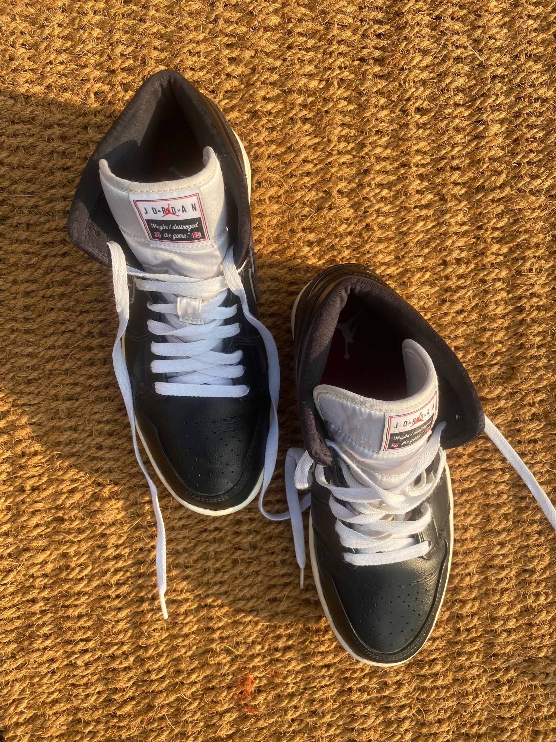 Nike Jordan 1 Mid Maybe I Destroyed the Game..
